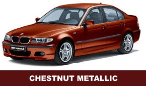 chestnut met