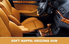 int soft nappa arizona sun