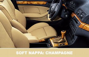 int soft nappa champagne