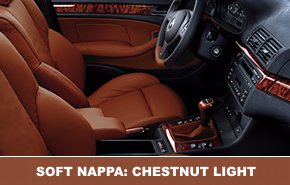 int soft nappa chestnut light