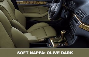int soft nappa olive dark