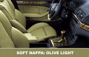 int soft nappa olive light