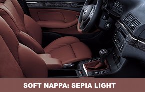 int soft nappa sepia light